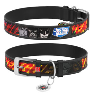 Ошейник для животных WAUDOG Design с QR паспортом "Лига справедливости" Ш 12 мм Д 18-24 см черный (0012-1010-01)