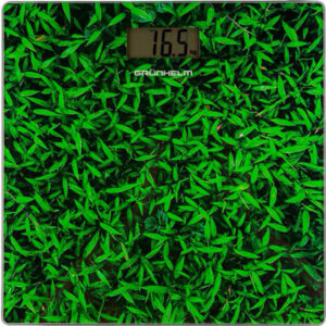 Весы напольные Grunhelm BES-GRA20