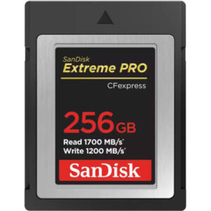 Карта памяти SanDisk 256GB CFexpress Extreme Pro (SDCFE-256G-GN4NN)