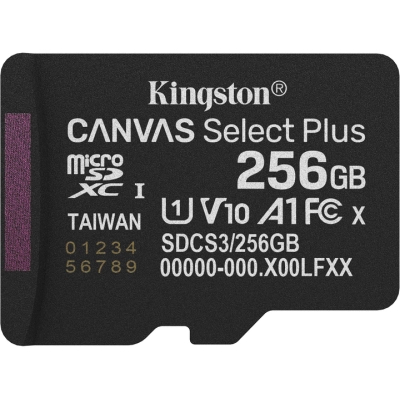 Карта памяти Kingston 256GB microSDXC class 10 UHS-I U3 V30 A1 Canvas Select Plus (SDCS3/256GBSP)